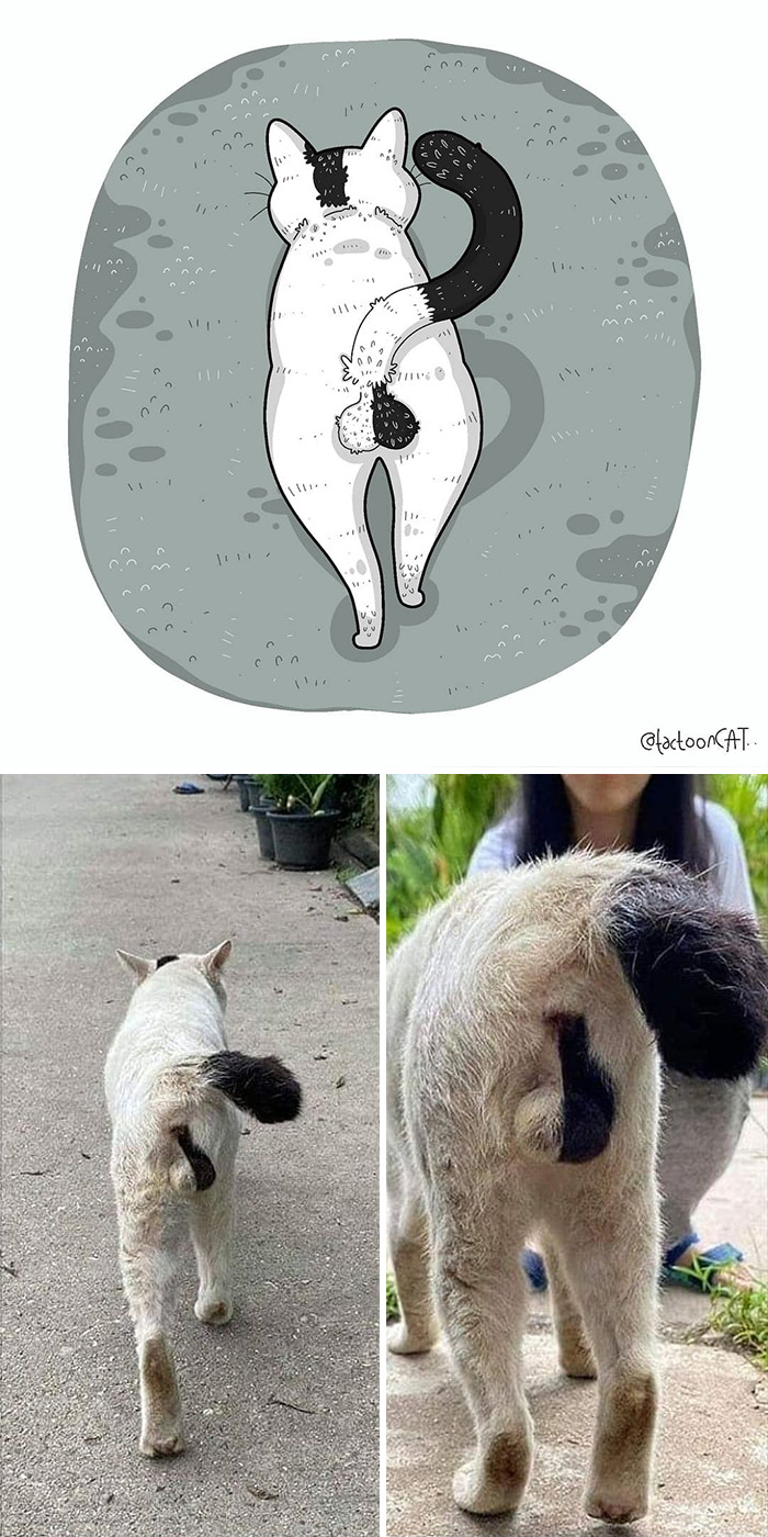 Artist Is Bringing Forgotten Memes Of Cats In The Form Of Cartoons And This Is So Purrfect