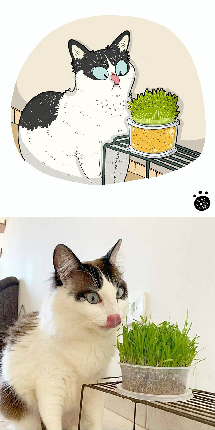 Artist Is Bringing Forgotten Memes Of Cats In The Form Of Cartoons And This Is So Purrfect