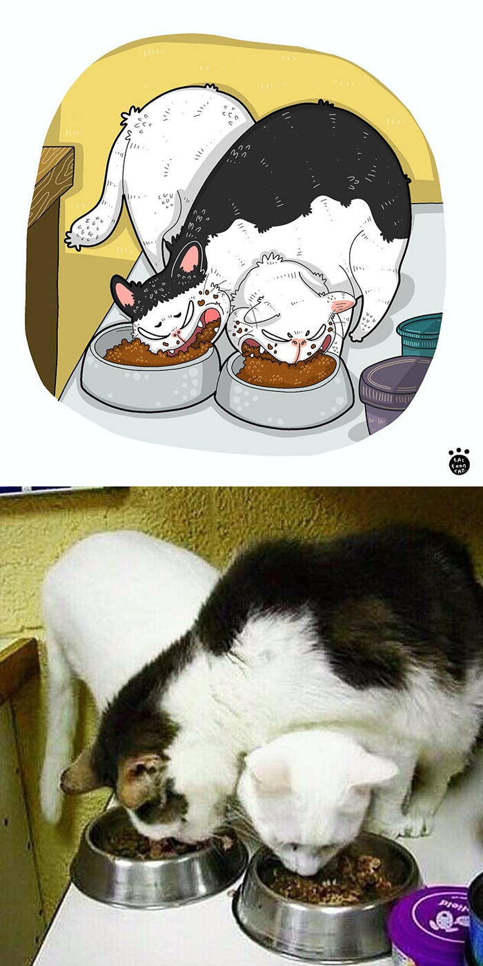 Artist Is Bringing Forgotten Memes Of Cats In The Form Of Cartoons And This Is So Purrfect