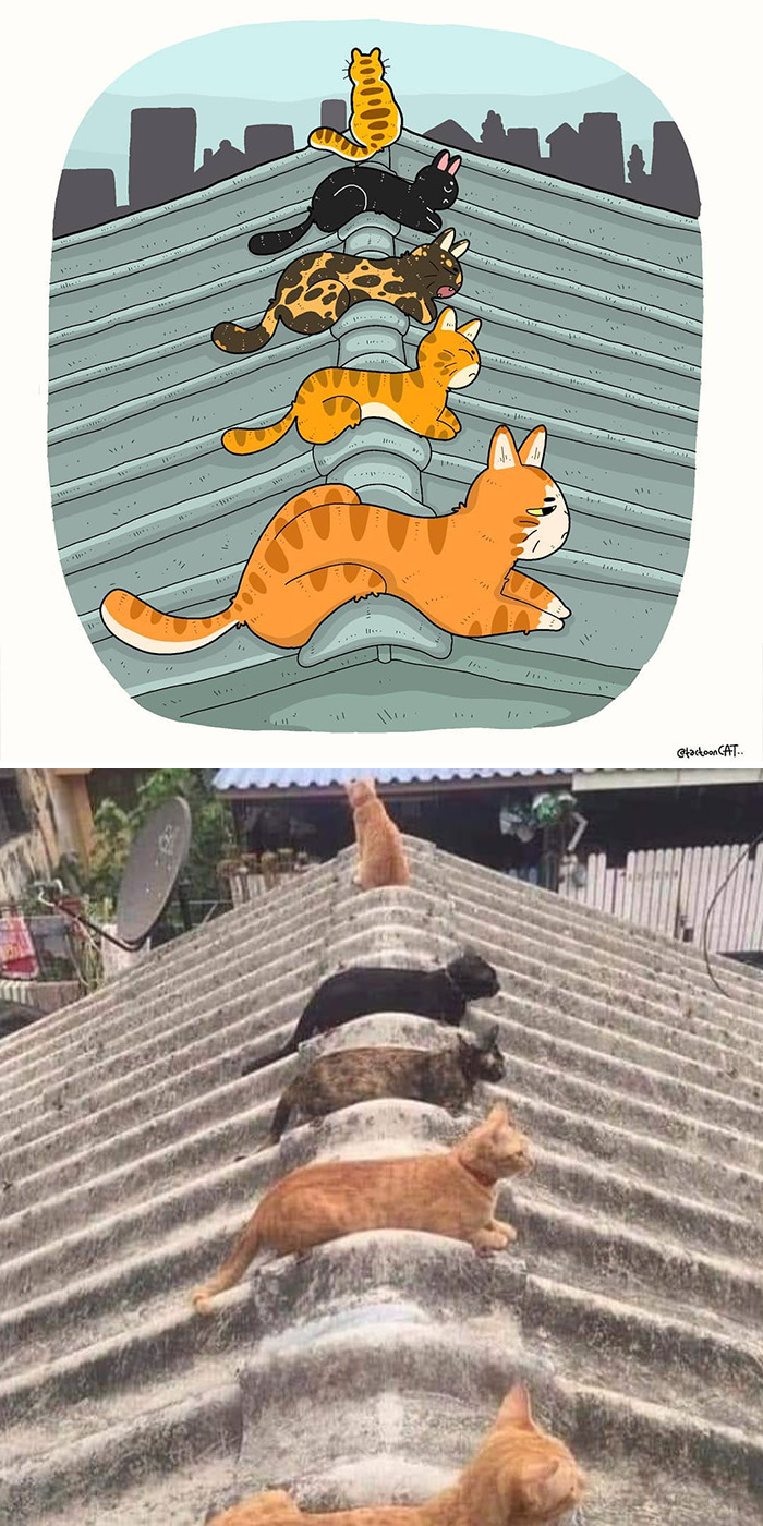Artist Is Bringing Forgotten Memes Of Cats In The Form Of Cartoons And This Is So Purrfect