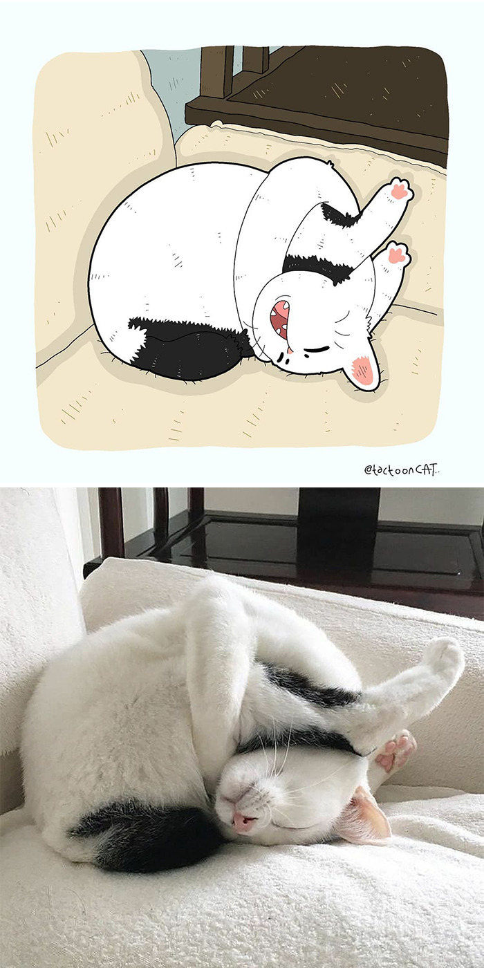 Artist Is Bringing Forgotten Memes Of Cats In The Form Of Cartoons And This Is So Purrfect