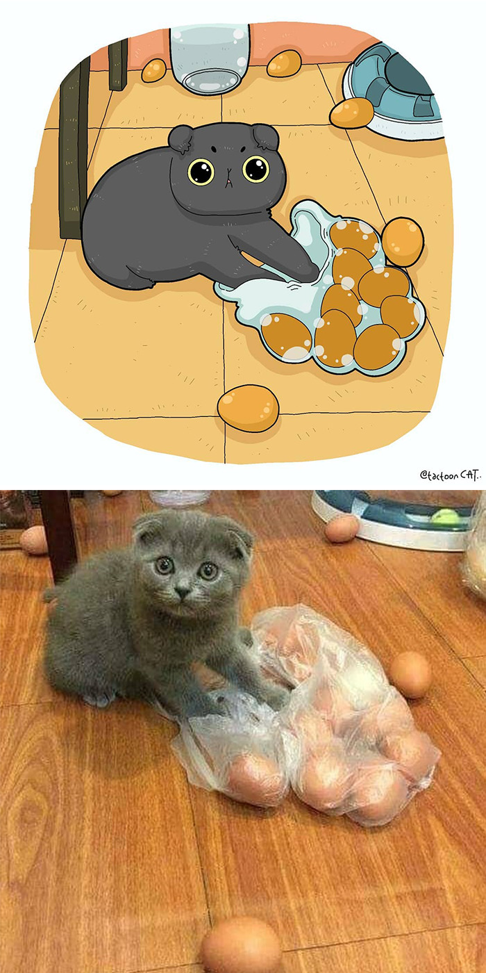 Artist Is Bringing Forgotten Memes Of Cats In The Form Of Cartoons And This Is So Purrfect