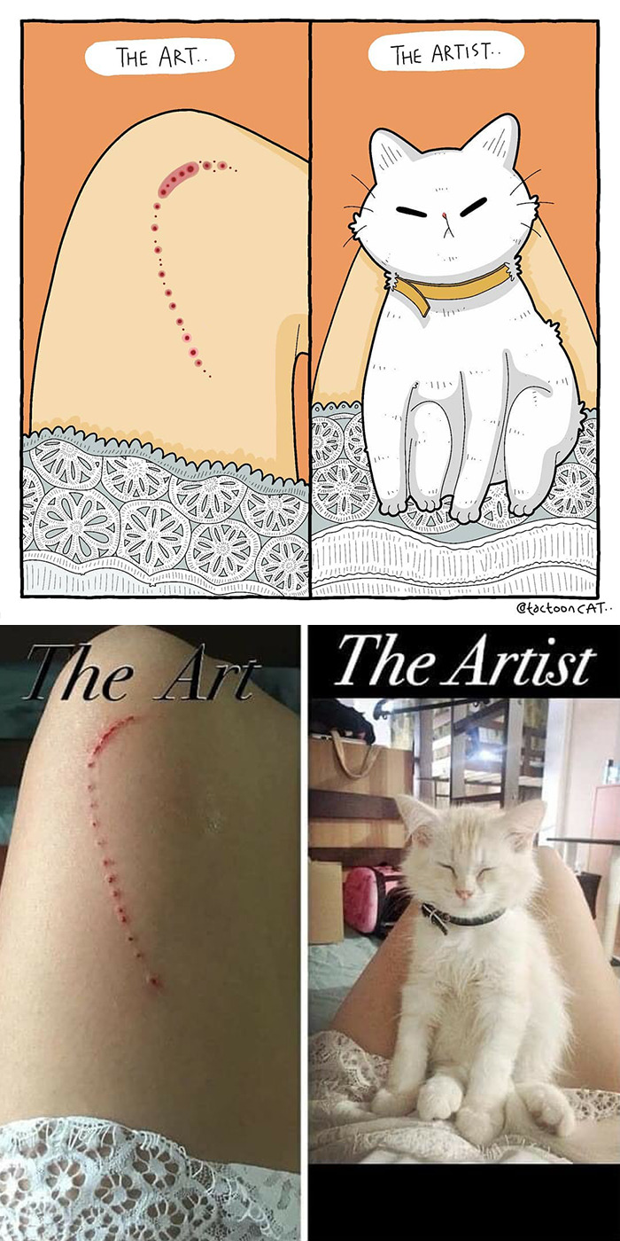 Artist Is Bringing Forgotten Memes Of Cats In The Form Of Cartoons And This Is So Purrfect