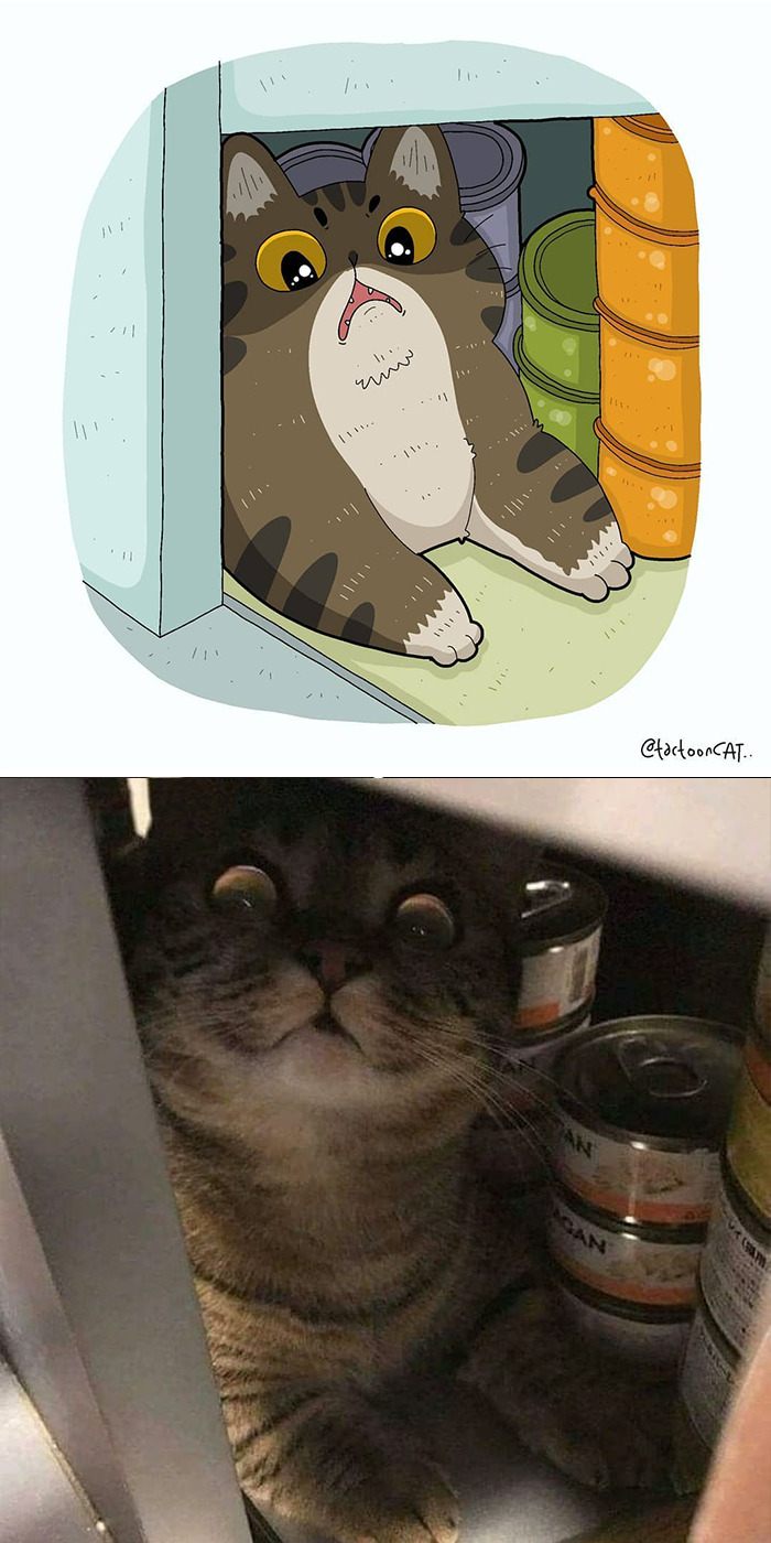 Artist Is Bringing Forgotten Memes Of Cats In The Form Of Cartoons And This Is So Purrfect