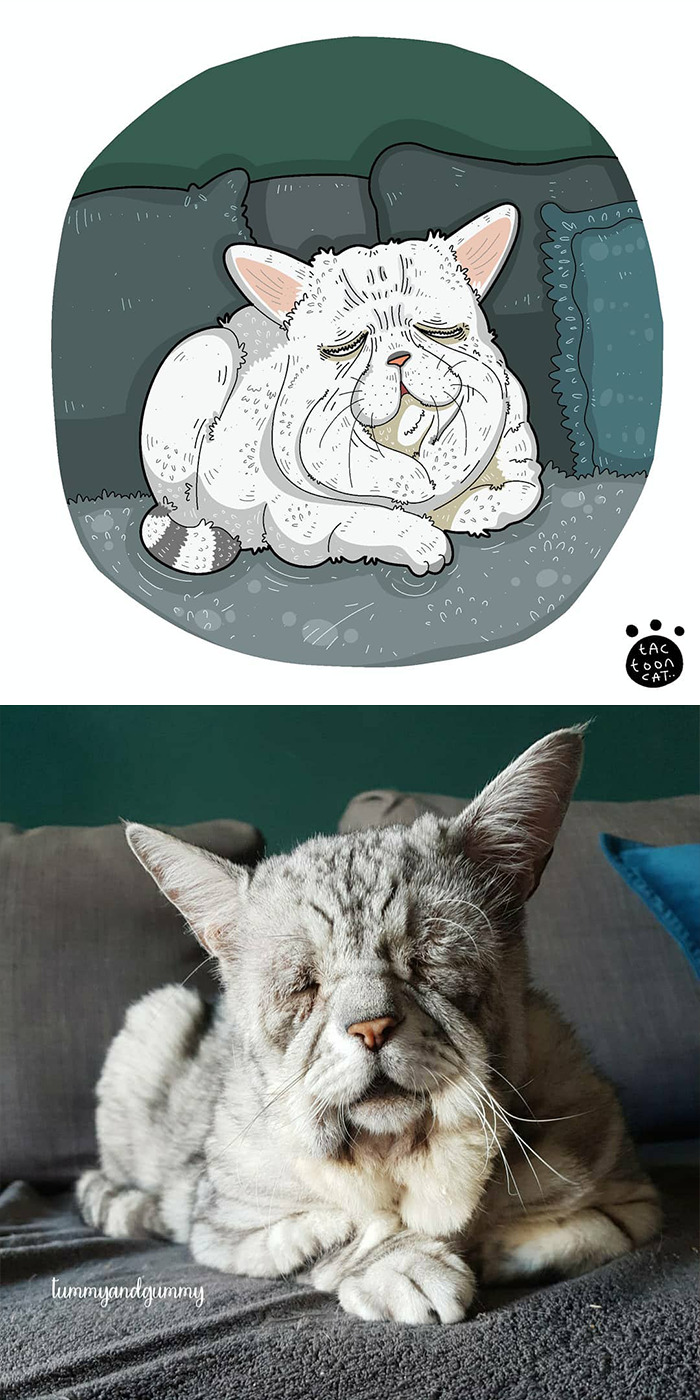 Artist Is Bringing Forgotten Memes Of Cats In The Form Of Cartoons And This Is So Purrfect
