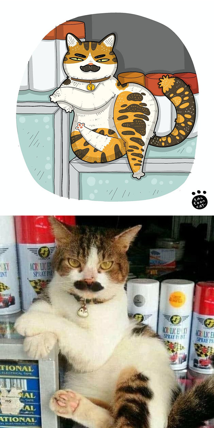 Artist Is Bringing Forgotten Memes Of Cats In The Form Of Cartoons And This Is So Purrfect