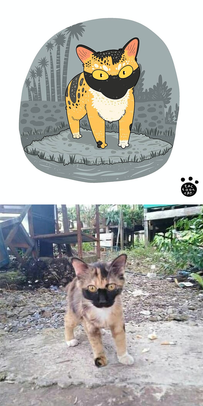 Artist Is Bringing Forgotten Memes Of Cats In The Form Of Cartoons And This Is So Purrfect