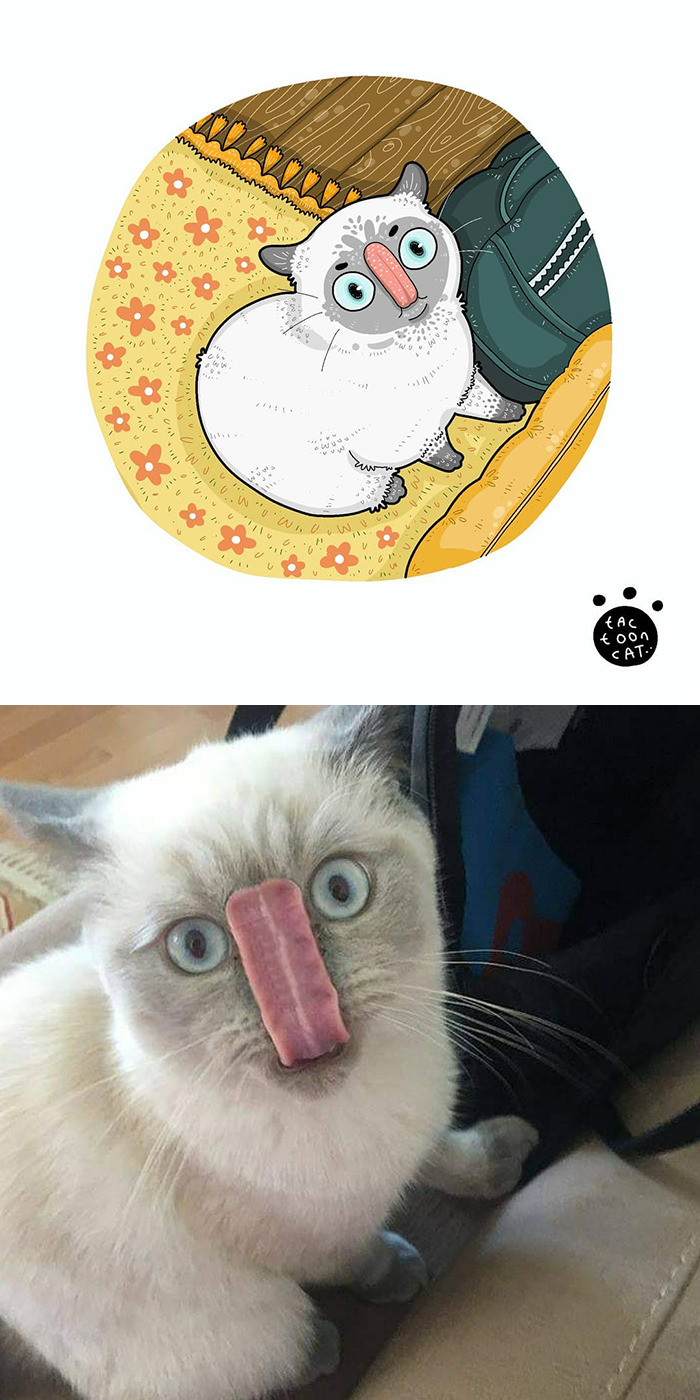 Artist Is Bringing Forgotten Memes Of Cats In The Form Of Cartoons And This Is So Purrfect