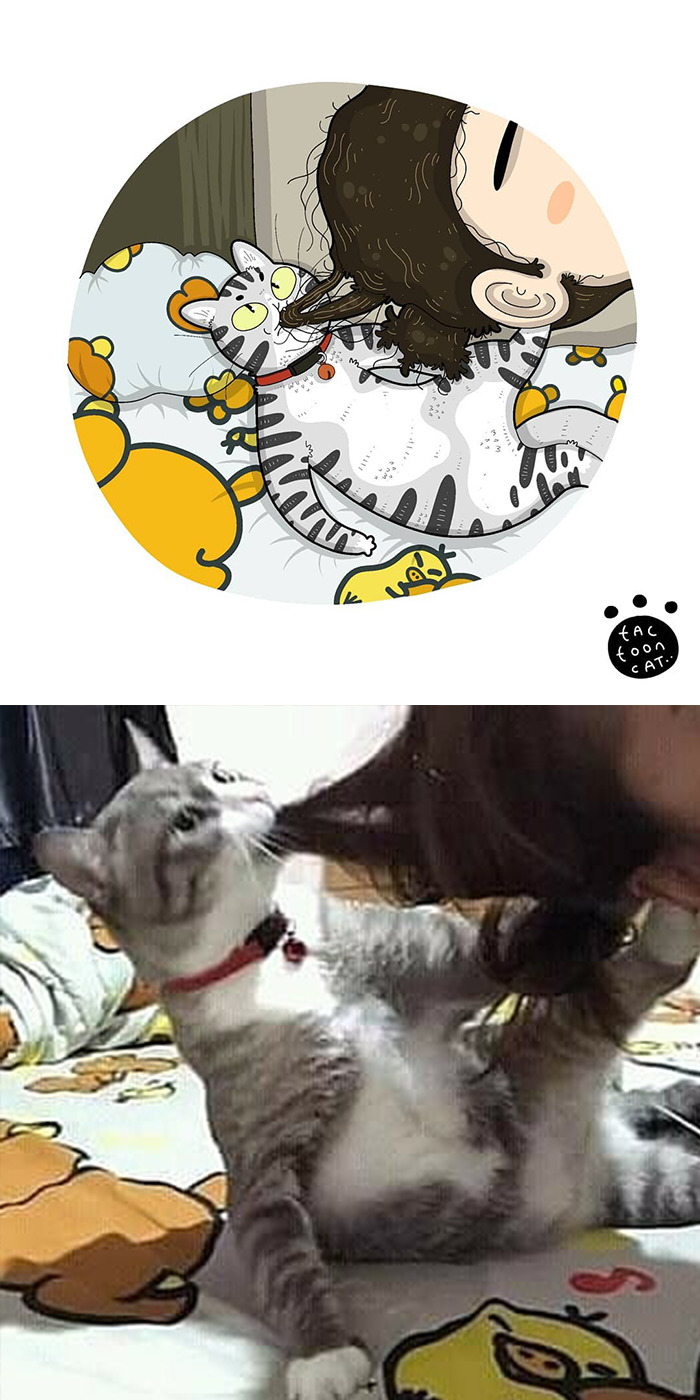 Artist Is Bringing Forgotten Memes Of Cats In The Form Of Cartoons And This Is So Purrfect