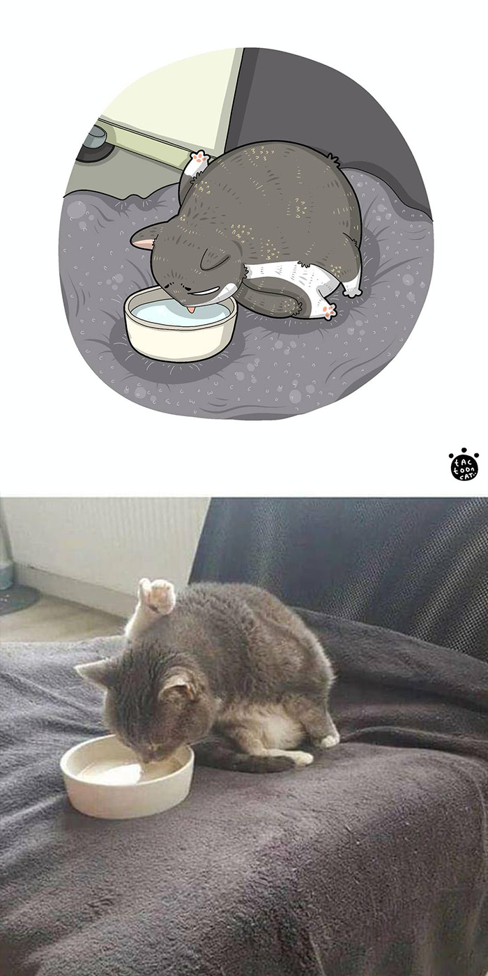 Artist Is Bringing Forgotten Memes Of Cats In The Form Of Cartoons And This Is So Purrfect