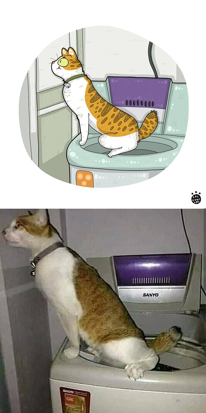 Artist Is Bringing Forgotten Memes Of Cats In The Form Of Cartoons And This Is So Purrfect