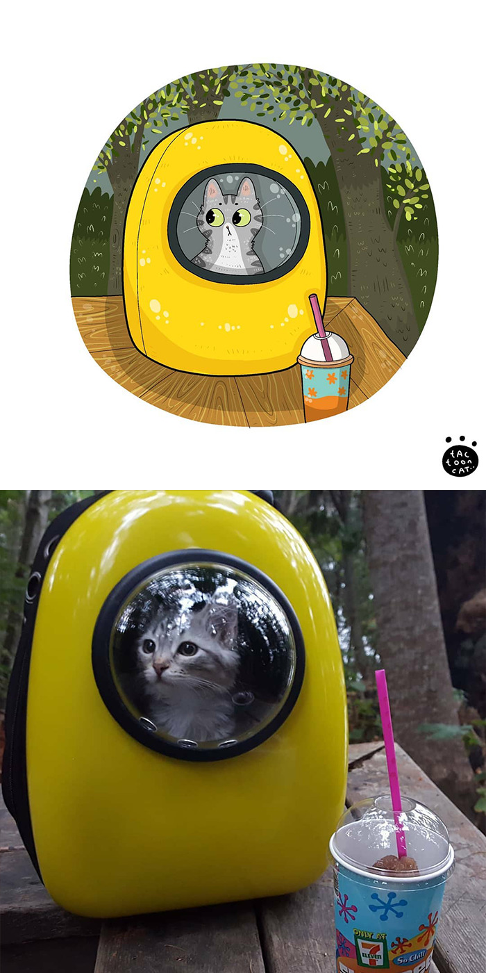 Artist Is Bringing Forgotten Memes Of Cats In The Form Of Cartoons And This Is So Purrfect