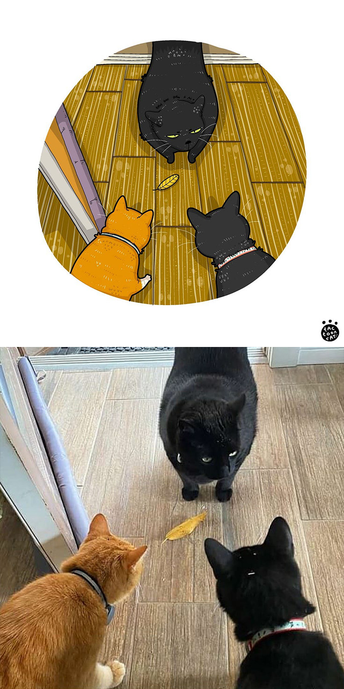 Artist Is Bringing Forgotten Memes Of Cats In The Form Of Cartoons And This Is So Purrfect