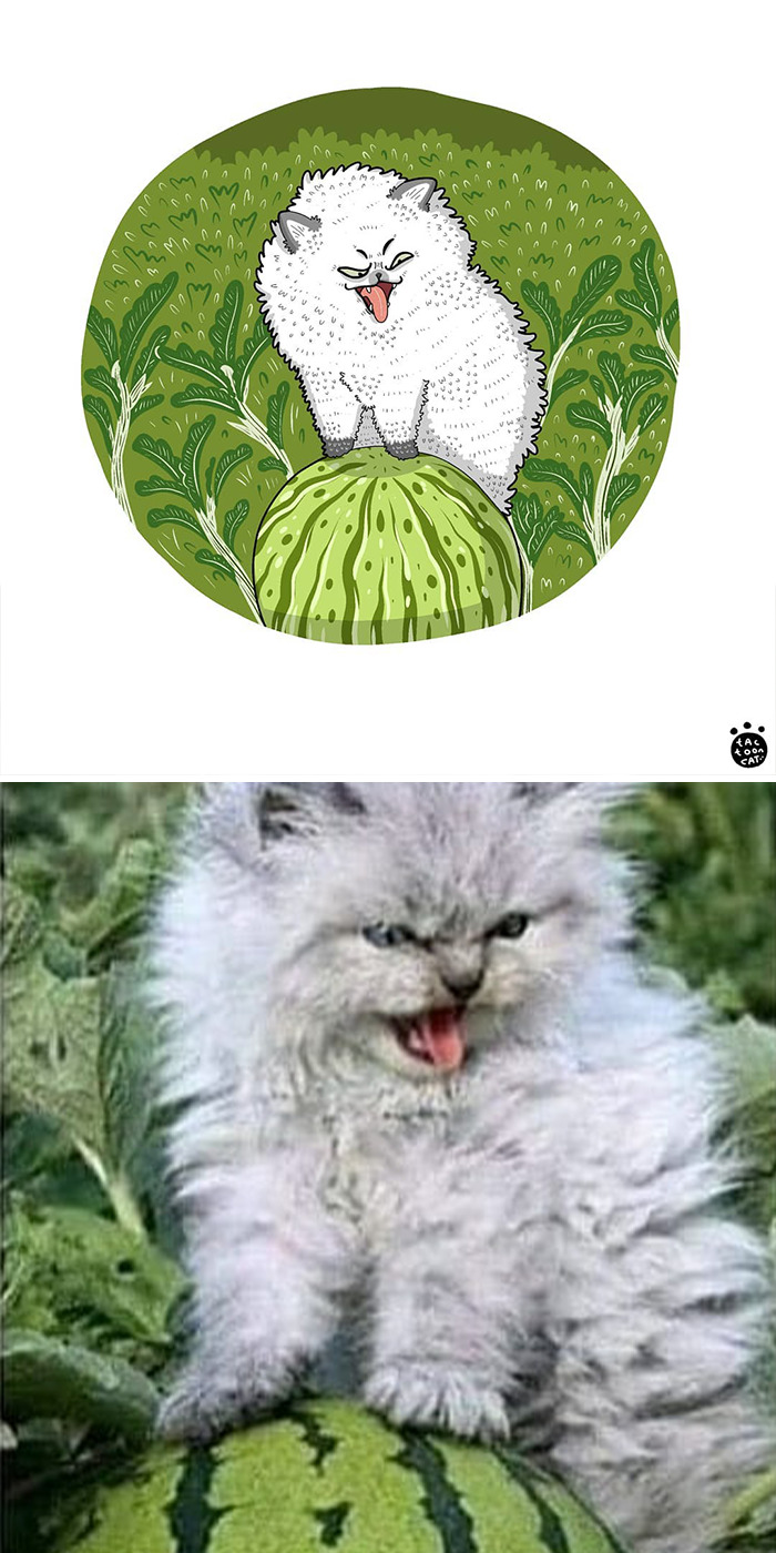 Artist Is Bringing Forgotten Memes Of Cats In The Form Of Cartoons And This Is So Purrfect