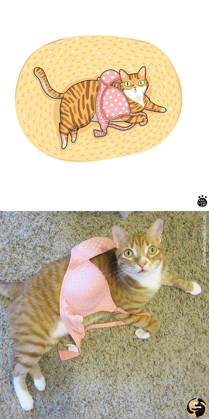 Artist Is Bringing Forgotten Memes Of Cats In The Form Of Cartoons And This Is So Purrfect