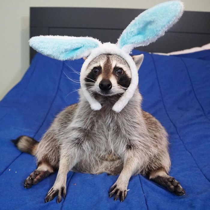 Who Else Is Already Thinking About Their Halloween Costumes?