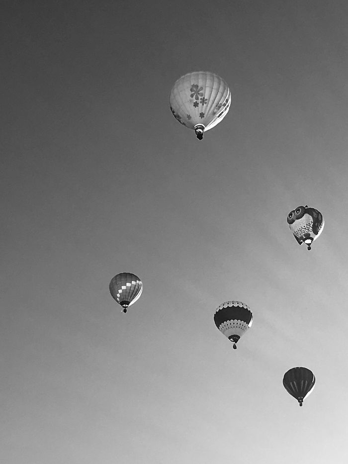 Downtown Boise Hot Air Ballon Festival, So Fun.