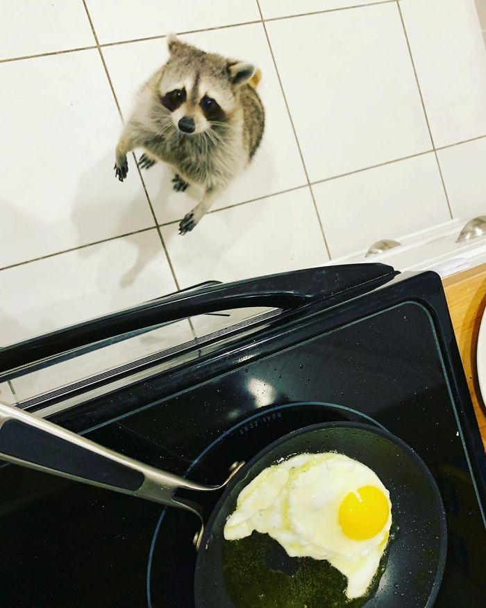 ”Ahem, Excuse Me..."