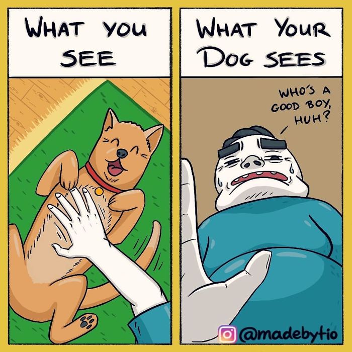 Funny-Comics-Madebytio