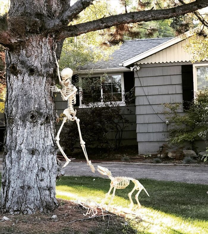 This Is My Favorite Skeleton Yard Display