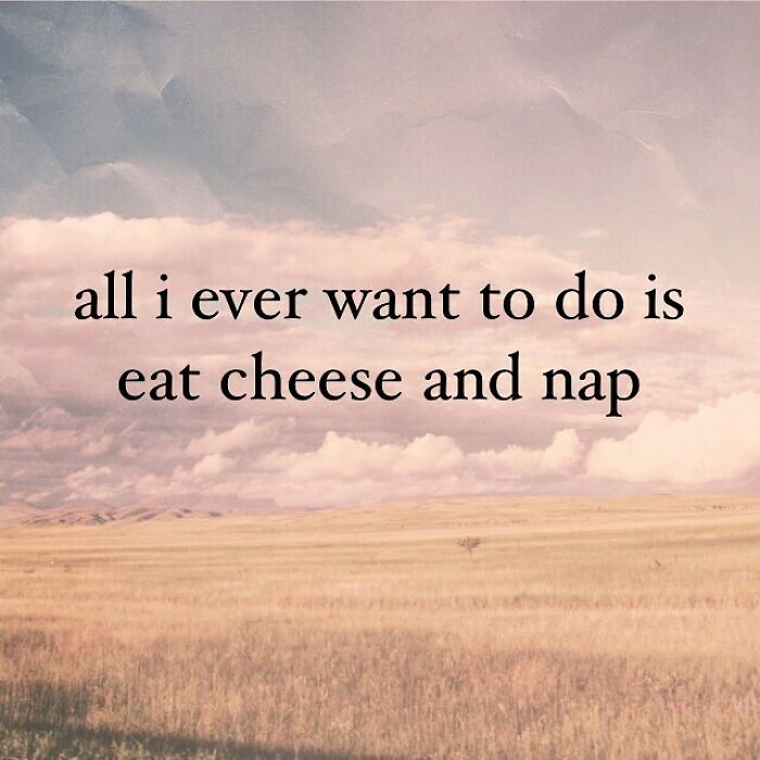 Weekend Plans: Check