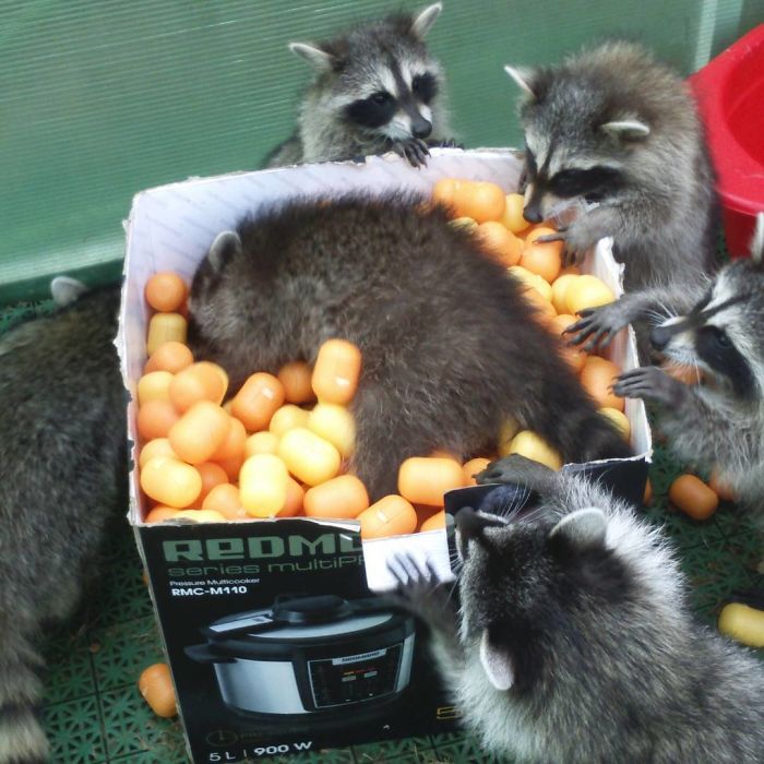 And What Is He Doing?