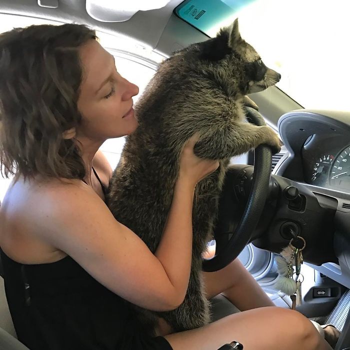 Ok, You Push The Pedals And I've Got The Wheel