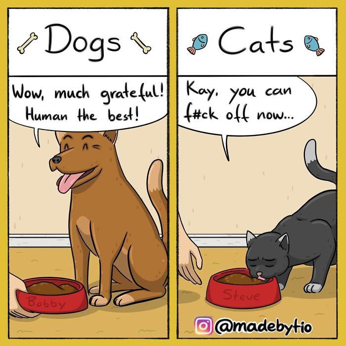 Funny-Comics-Madebytio