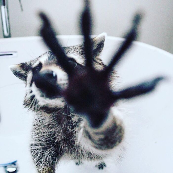 "No Pictures Please!"