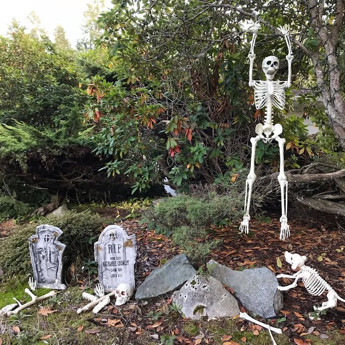 I Do Love A Good Holiday I Can Decorate For