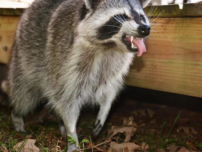 When Your Dad Cooks Food And You Try To Act Like It Tastes Good