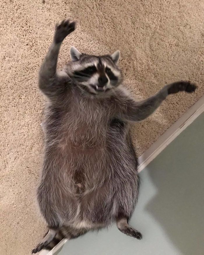 When You Shouldn’t Have Gone Back For That Fourth Plate! Oh Wait Where’s The Dessert!