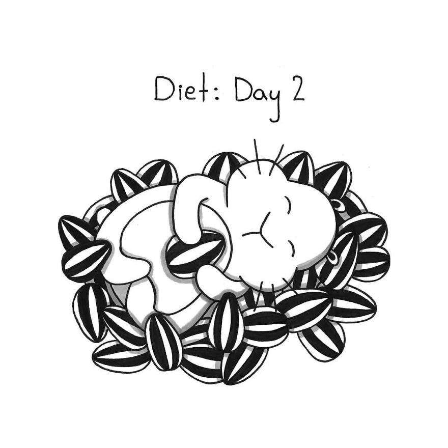 The Reason Why I Try Not To Go Into The Food Store