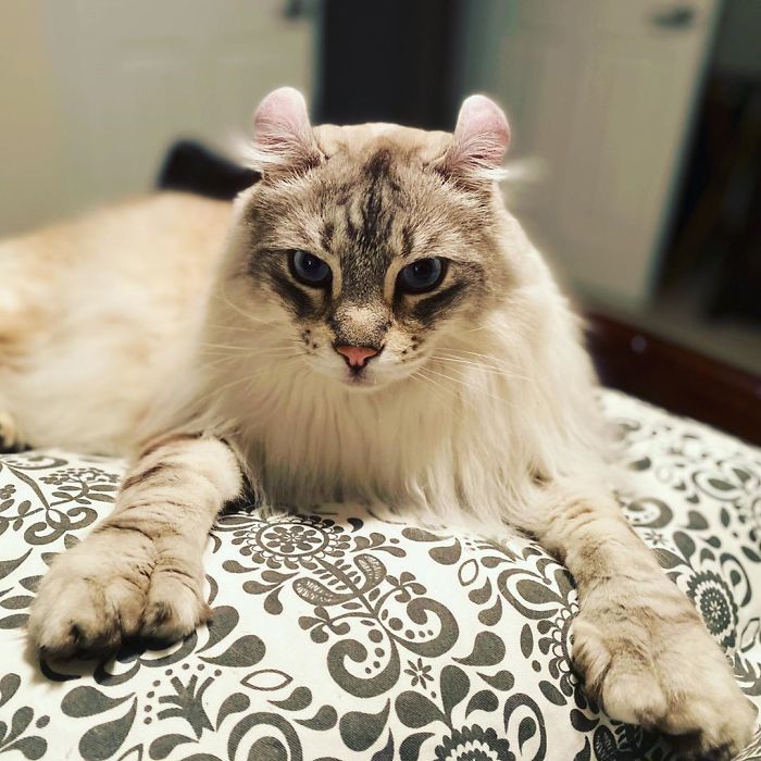 Happy 3rd Birthday Kingsley! Love You So Much