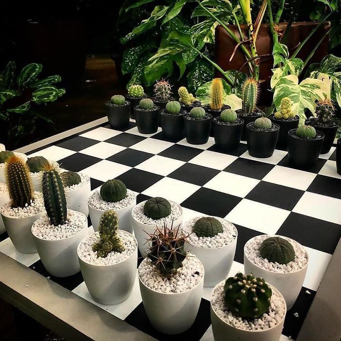 Cactus Chess Set