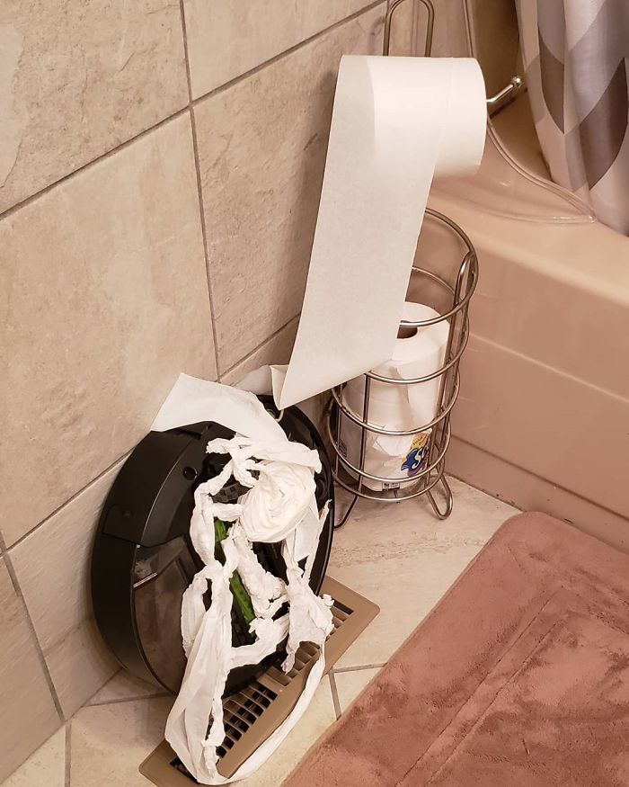 This Is A New One. Not Only Do My Cats Play With The Toilet Paper, So Does My Roomba