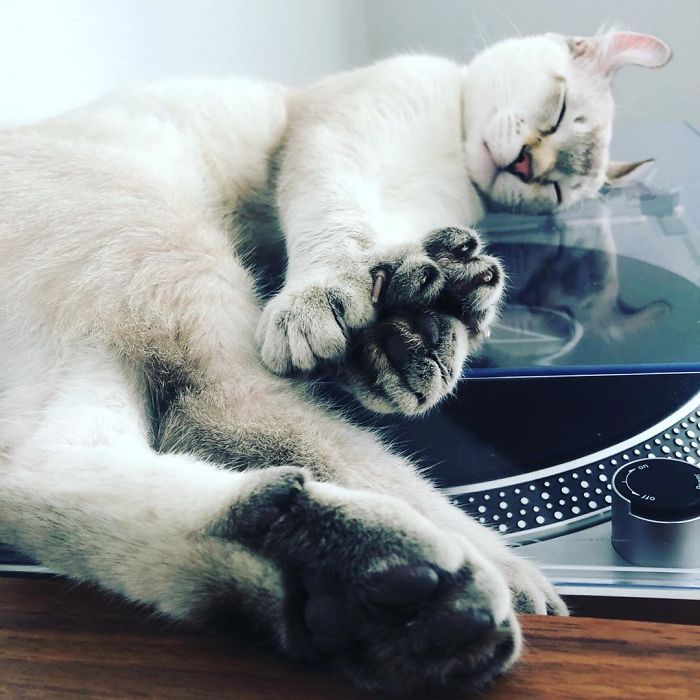 Enjoying My Favorite Pastime