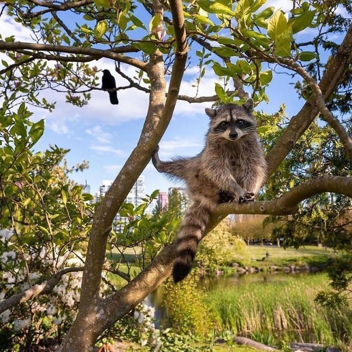 More Knowledgeable Than Most Yoga Instructors