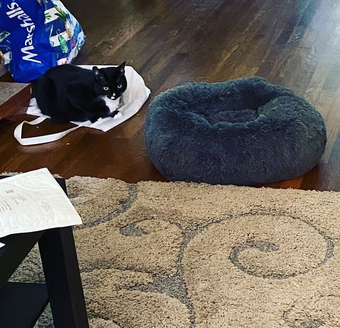 Anyone Else See What’s Wrong Here?