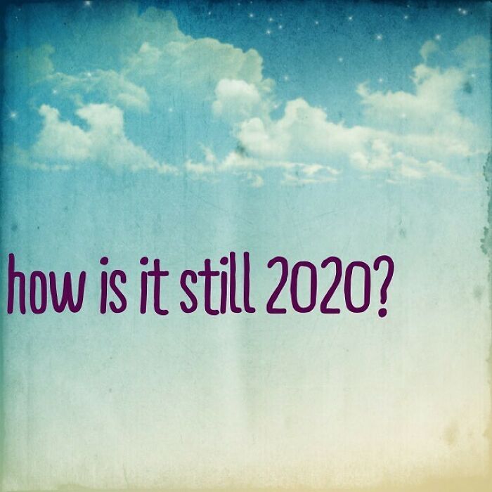 Seriously Y’all What The Fuck