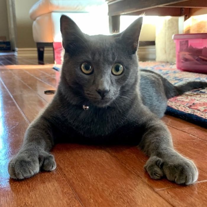 Didn’t Want To Miss Out On Thumbs Up Thursday