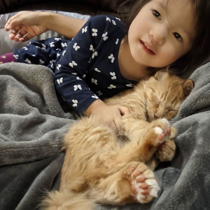 I'm Totally Obsessed With These Paws