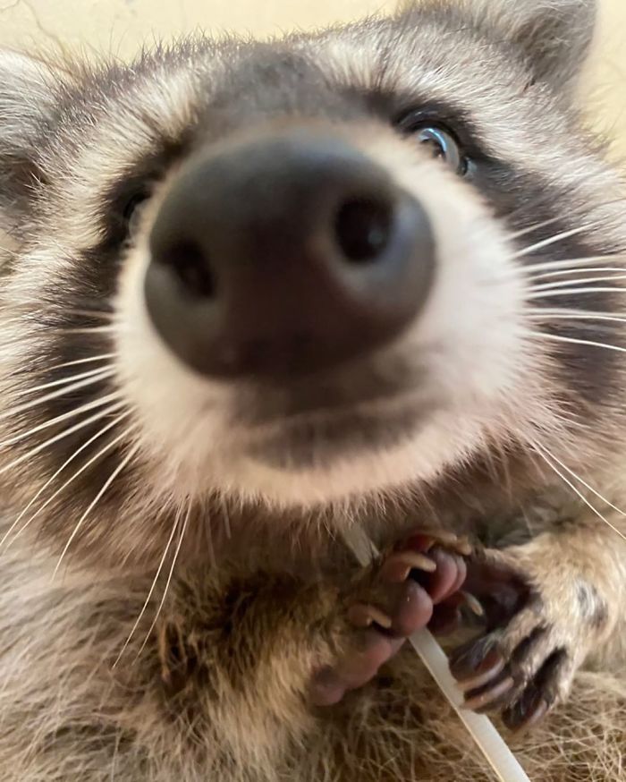 Love Your Little Nose So Much