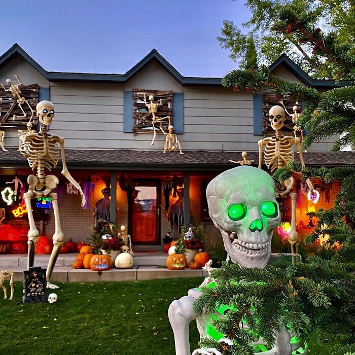 I Wanted To Tell A Skeleton Pun, But I Didn’t Have The Guts For It