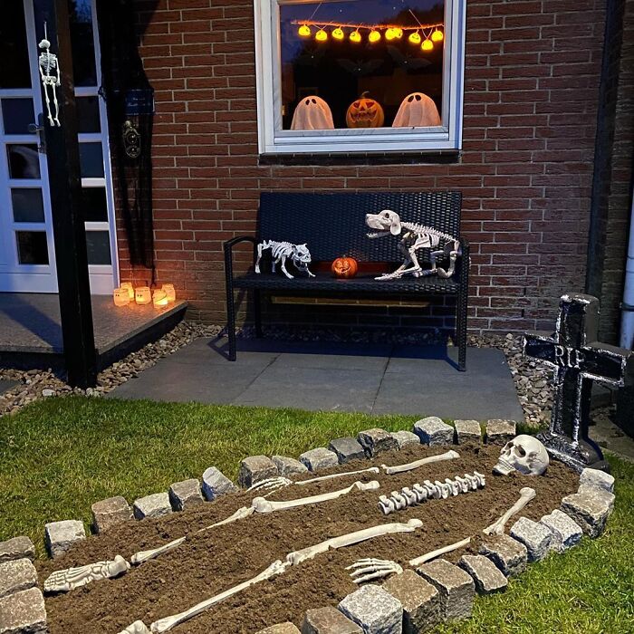 Best Bois Never Leaves Their Human