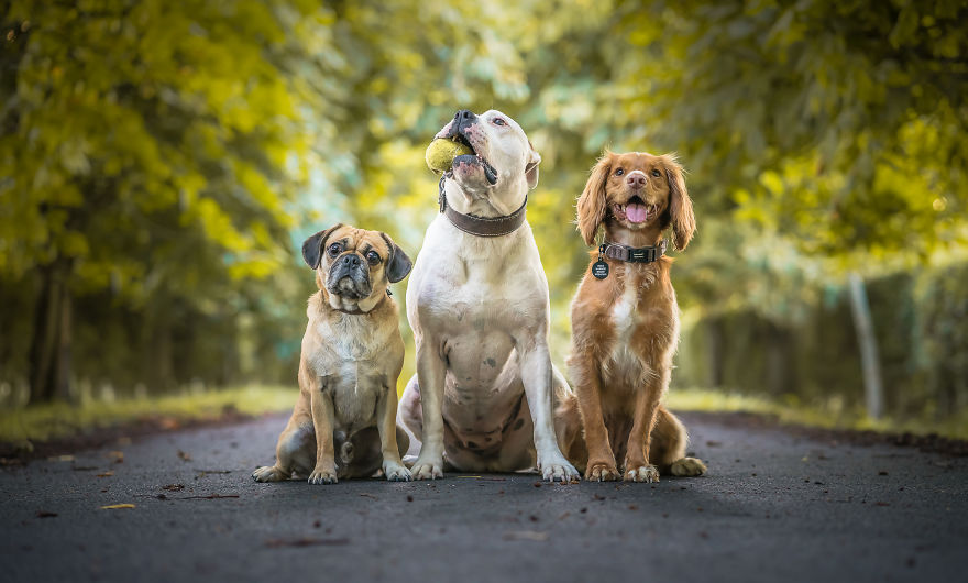 Barney, Sid And Olive