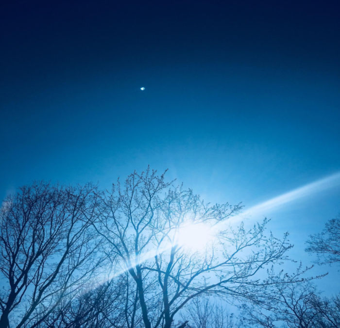 Beautiful Summer Morning