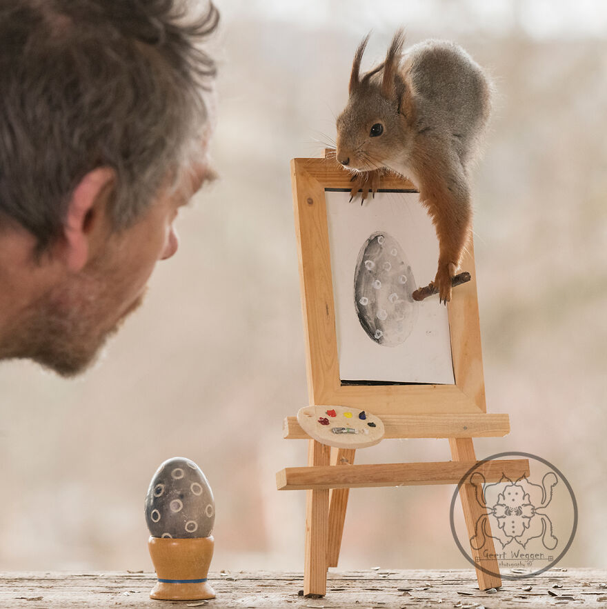 I Spent Almost A Decade Capturing Red Squirrel Photos And Here Is A Small Selection Of The Past Half Year.