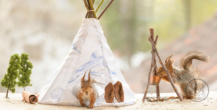 I Spent Almost A Decade Capturing Red Squirrel Photos And Here Is A Small Selection Of The Past Half Year.