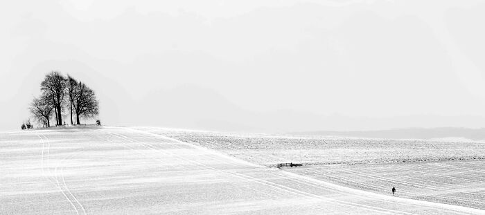 Black And White Commended: Graham Norton, 'Lonely Walk', Berkshire